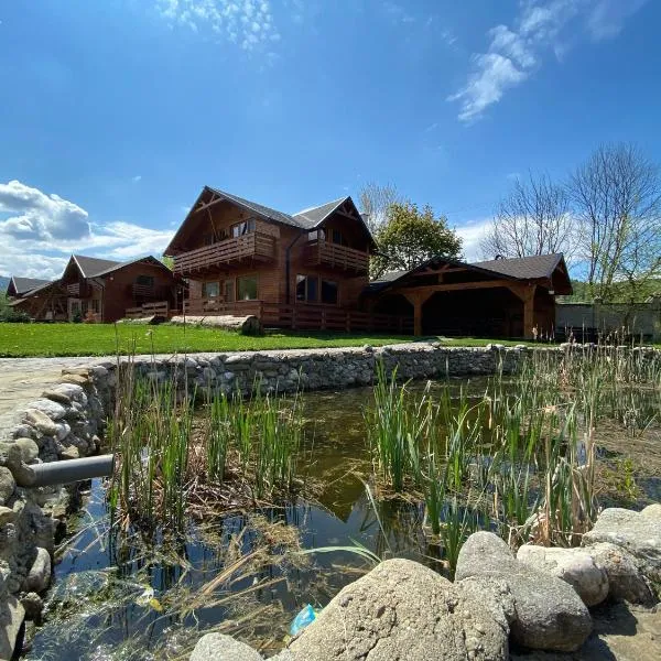 La Cabane Râșnov，位于莱斯诺夫的酒店