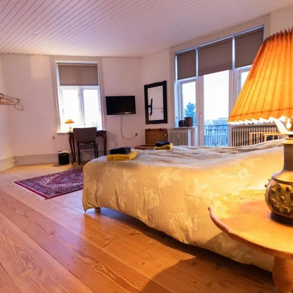 Lejlighed i Holstebro gågade，位于霍尔斯特布罗的酒店