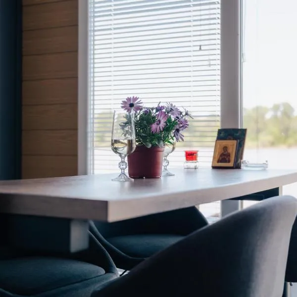 Splav na Savi - House on the river，位于Ostrvo Sprud的酒店