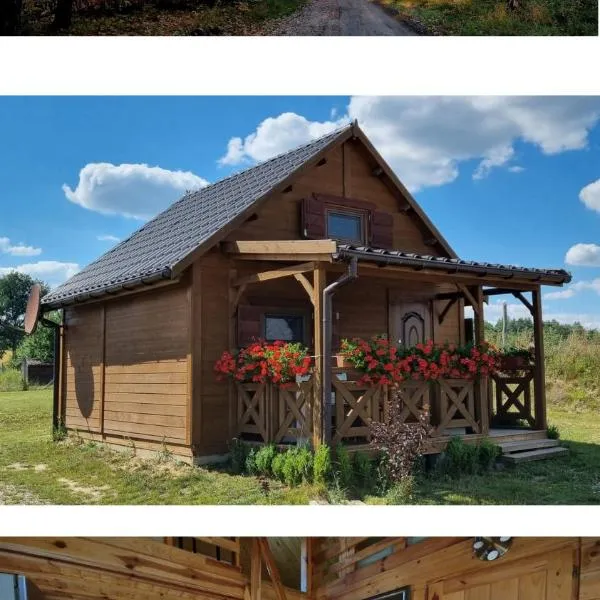 Domek Triftberg，位于Chojna的酒店