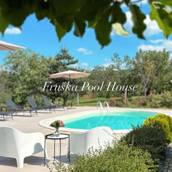 Fruska Pool House，位于Sremska Kamenica的酒店