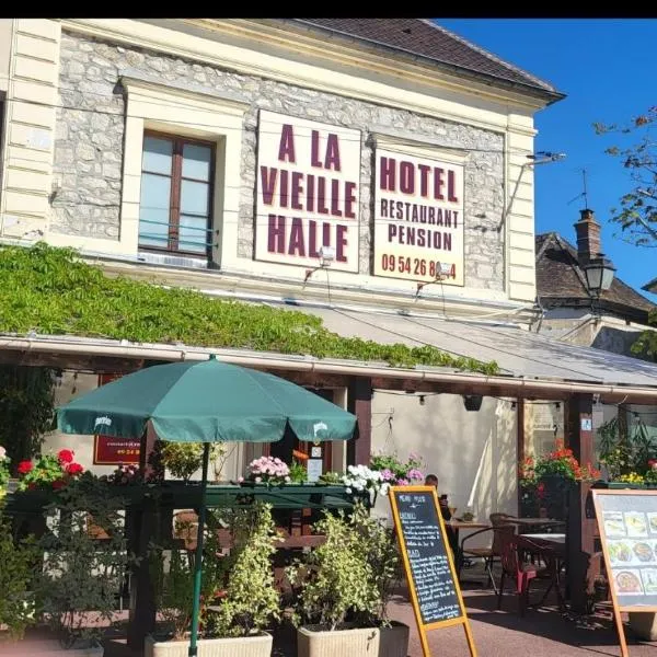 老哈尔酒店，位于Souppes-sur-Loing的酒店