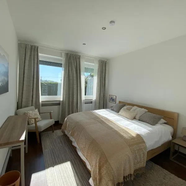 Sharon's Oasis，位于乌尔姆的酒店