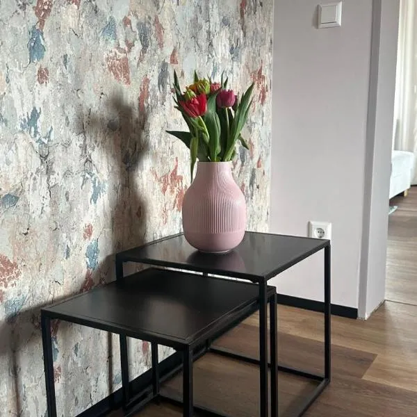 FeWo MaKi Schwarzwald Europa Park Rulantica Straßburg，位于弗里森海姆的酒店
