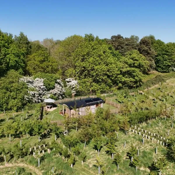 Oskar's Shepherd's Hut at Snug Hollow，位于Raithby的酒店