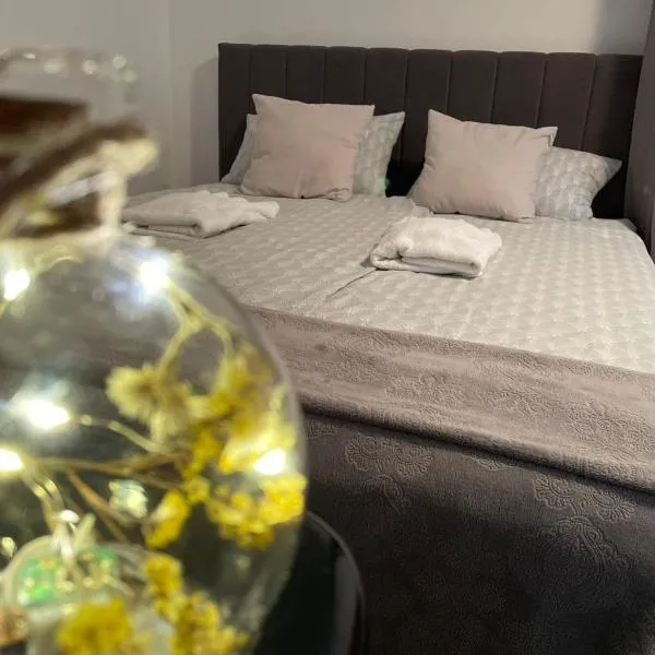 Apartment NakiT，位于Kanal的酒店
