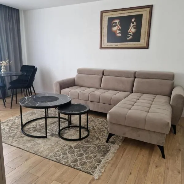 Nauji centro apartamentai，位于帕内韦日斯的酒店