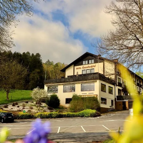Natur & Wander Hotel Gassbachtal，位于Grasellenbach的酒店