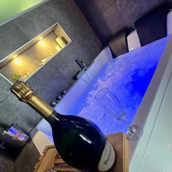 Suite avec spa privatif - Cité Thermale，位于沙泰勒吉永的酒店