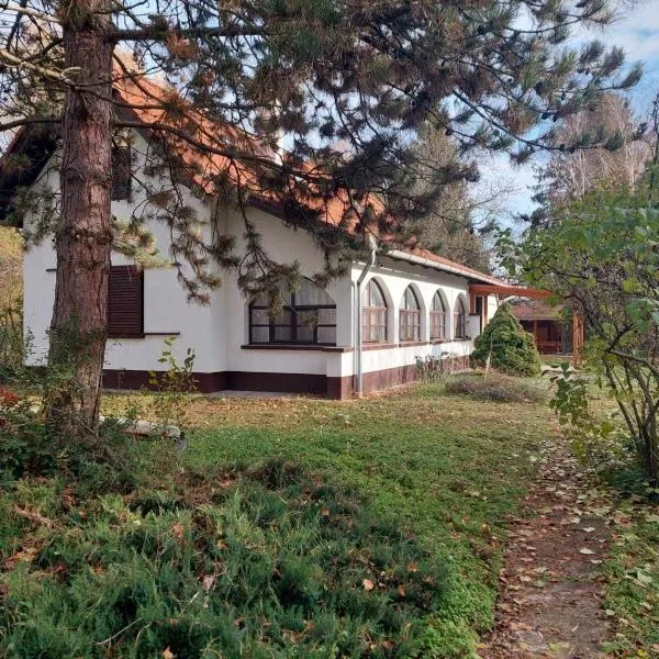 Duna Pearl，位于拉茨凯韦的酒店