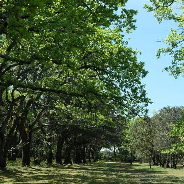 Le cabanon de la bergerie，位于格里尼昂的酒店