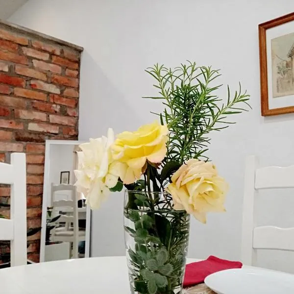 Sava & Double Rooms，位于普里耶多尔的酒店