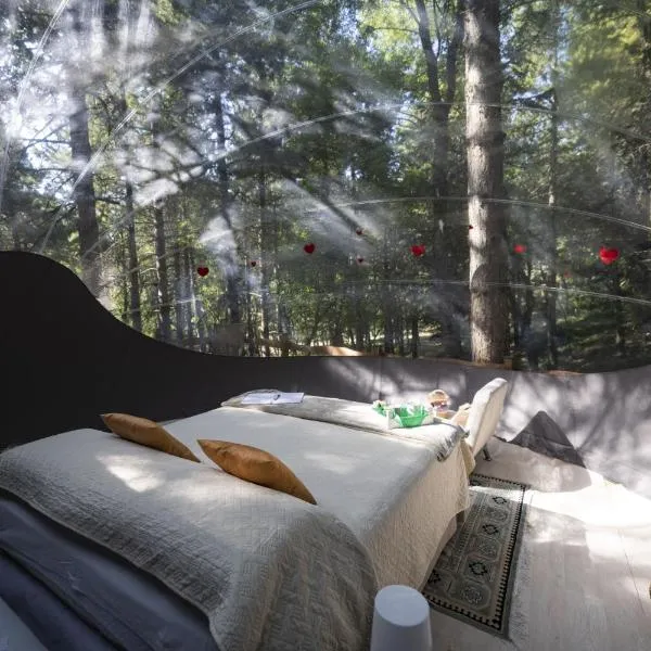 Bubble room sul tetto della Puglia，位于Biccari的酒店