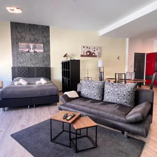Loftwohnung Happy Holiday，位于Herschbach的酒店