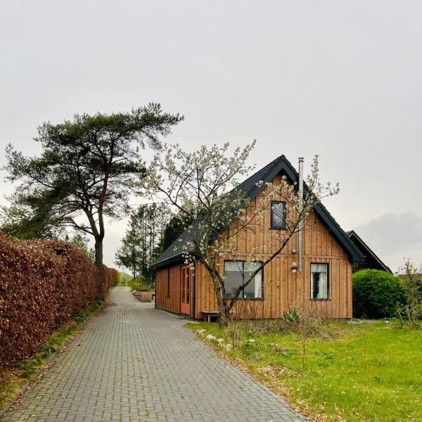 Houses & Hottub - Food Forest Valthe，位于Valthe的酒店