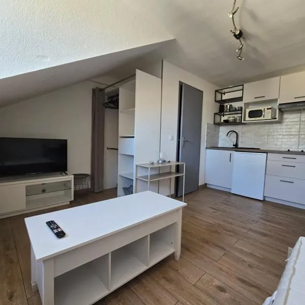 Studio 3 Lumineux，位于萨尔格米纳的酒店