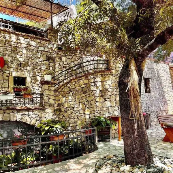 Shasi Eco Lodge，位于Ambula的酒店