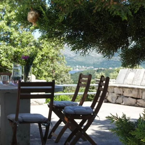 Solar Hill Home，位于泽尔诺沃的酒店