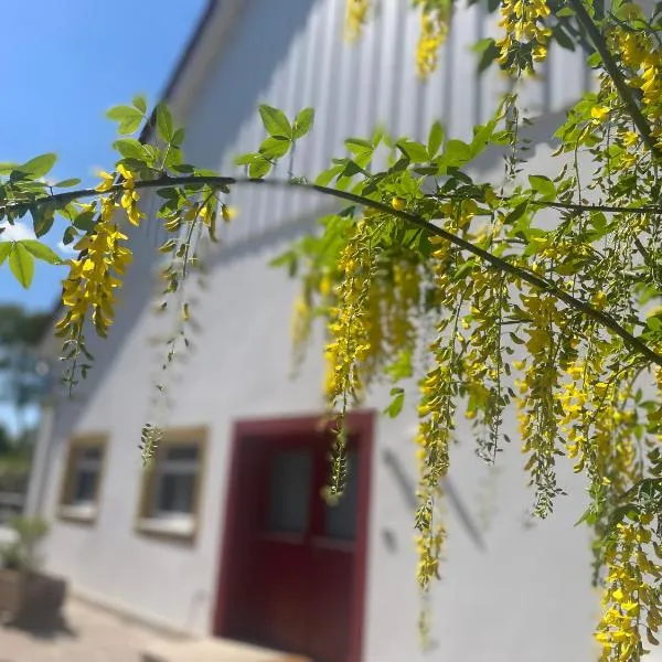geräumige Wohnung mit Terrasse，位于哈雷威斯特法伦的酒店