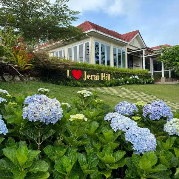 杰瑞山度假酒店，位于铅的酒店