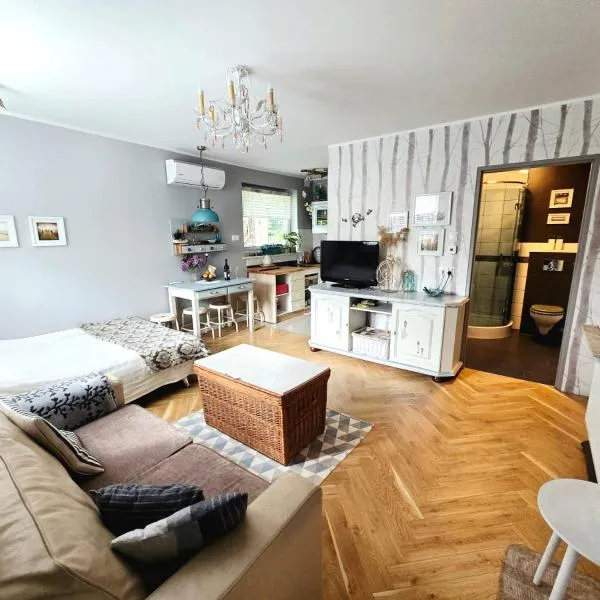 Kwatera prywatna na Kaszubach，位于Mrzezino的酒店