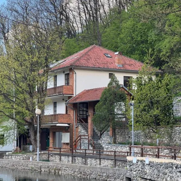 Lisine Ribnjak，位于代斯波托瓦茨的酒店