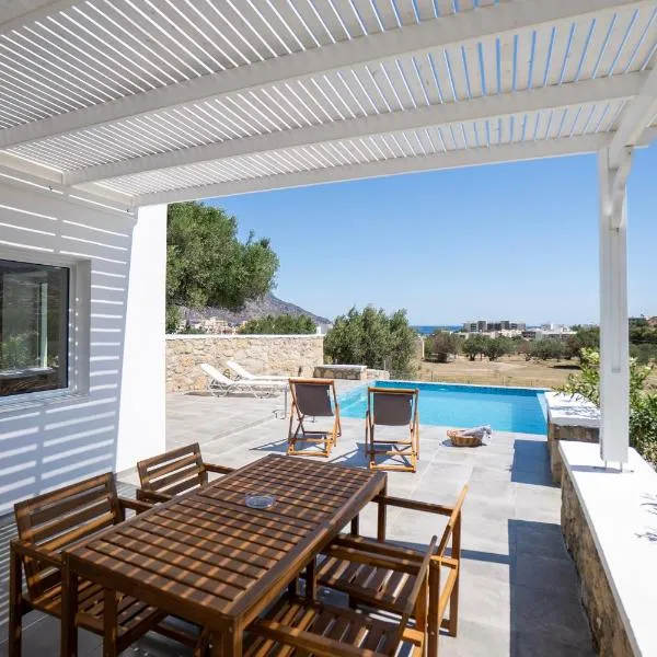 Eleon Luxury Villa，位于卡尔帕索斯的酒店