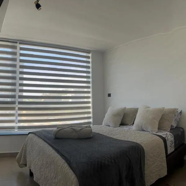 MAIPU CENTRO LADO UNIVERSIDAD udd，位于康塞普西翁的酒店