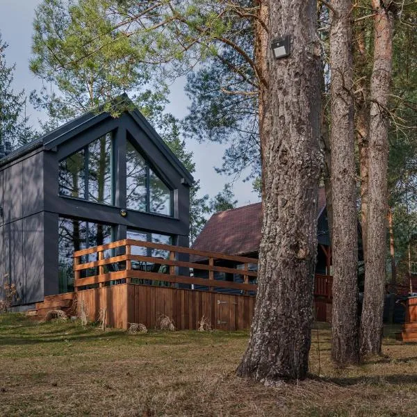 Dom Kozia Górka - dom w sercu Puszczy Knyszyńskiej, dostępna bania z jacuzzi za dodatkową opłatą，位于Międzyrzecze的酒店