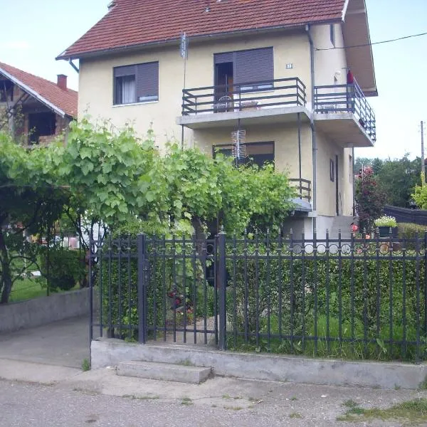 Guest House Nada，位于索科矿泉村的酒店