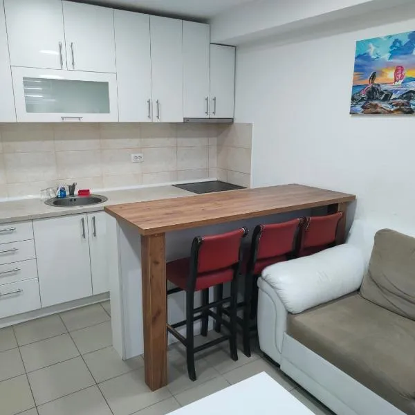 Apartmani Pajic，位于雅戈丁那的酒店