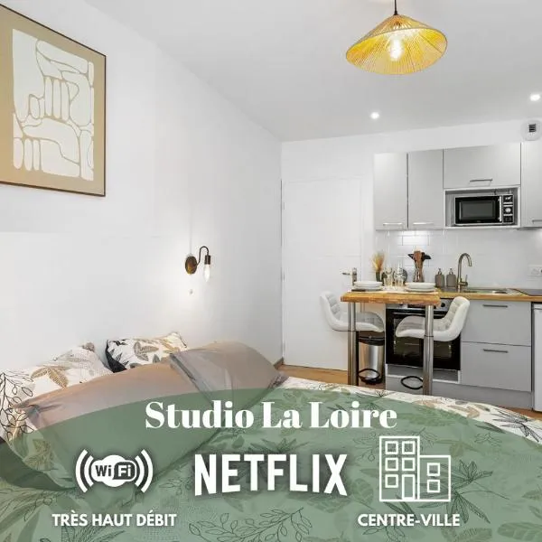 Centre-ville - Fibre - Netflix - Studio la Loire，位于萨韦奈的酒店