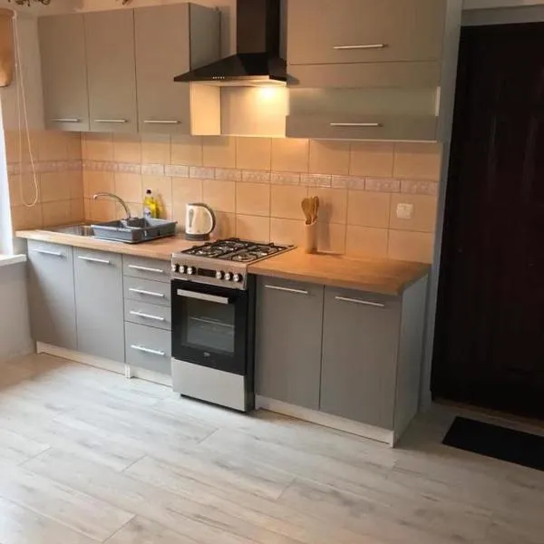 Apartament Wisełka nad jeziorem，位于维塞乌卡的酒店