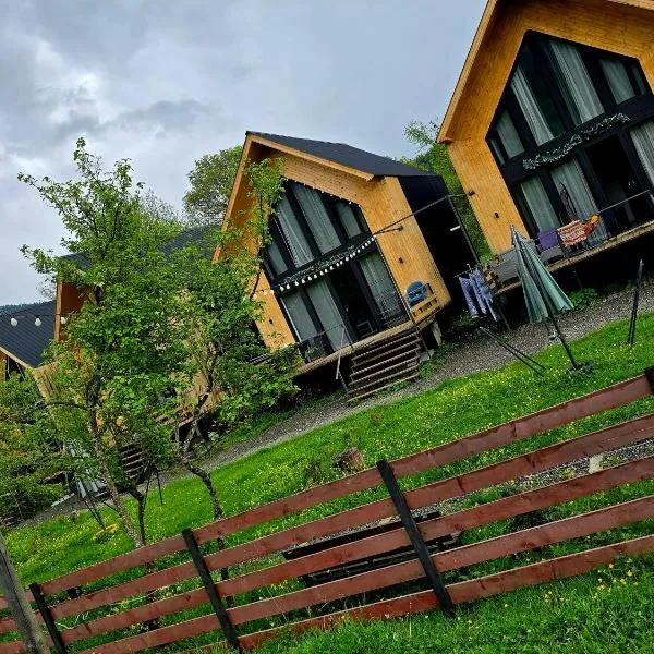 Chalet Resort Weekend BORJOMi，位于博尔若米的酒店