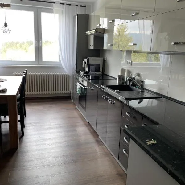 Apartmán Hojsova Stráž，位于泽勒兹纳·鲁达的酒店