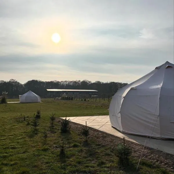 Orchard Retreats Glamping At Black Barn Farm Norfolk，位于Salhouse的酒店