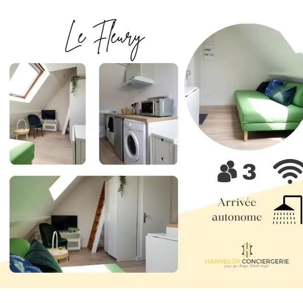 Le Fleury - Studio calme proche de Rouen，位于Déville-lès-Rouen的酒店