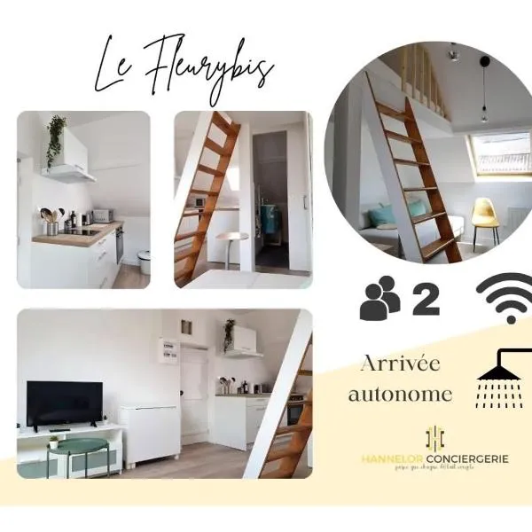 FleuryBis - Appartement calme proche de Rouen，位于Déville-lès-Rouen的酒店