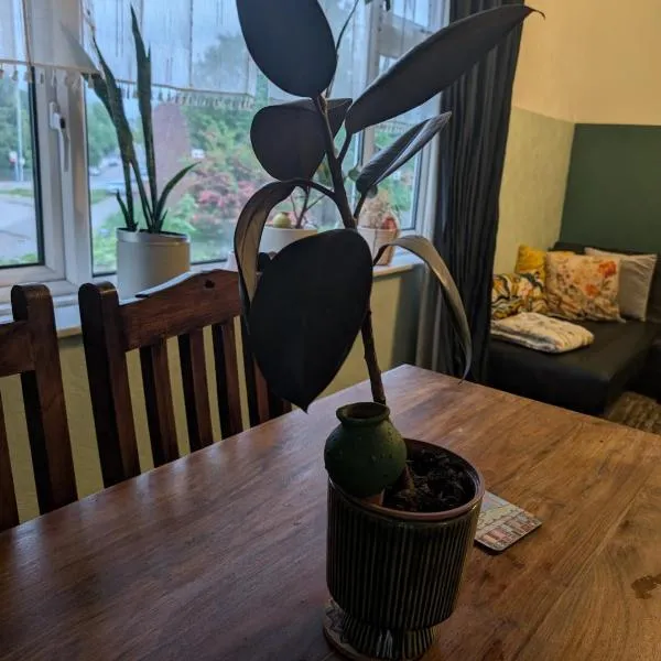 Bright Maisonette near Central Birmingham，位于伯明翰的酒店