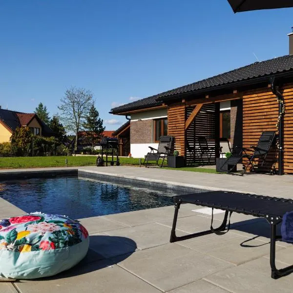 Pool Villa Mukařov，位于Srbín的酒店