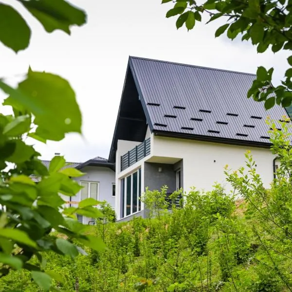 Ćato s cottage，位于Bravnice的酒店