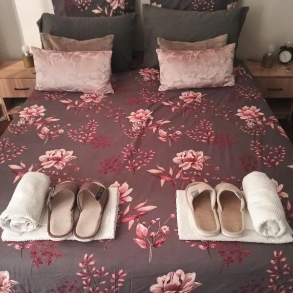 chambre accès salle de bain proche site touristique parking gratuit，位于圣旺的酒店