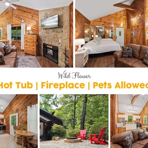Pet-friendly Smoky Getaway With Hot Tub，位于赛维尔维尔的酒店