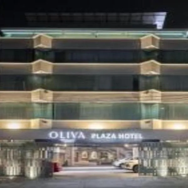 Oliva Plaza Hotel，位于瓜达拉哈拉的酒店