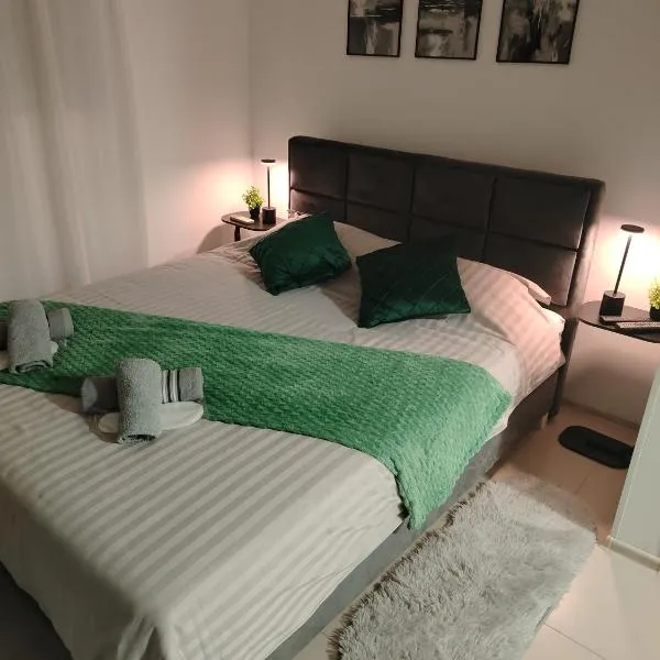 Studio Jovana Stan na dan Kikinda，位于Kikinda的酒店