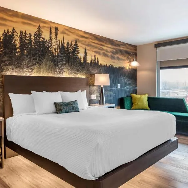 Cambria Hotel Shelby Township - Detroit Utica，位于Shelby的酒店