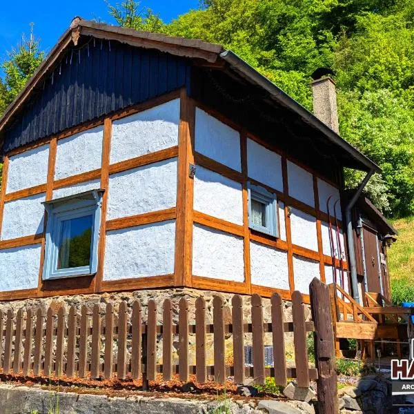 Arode Hütte Harzilein - Romantic tiny house on the edge of the forest，位于Zorge的酒店