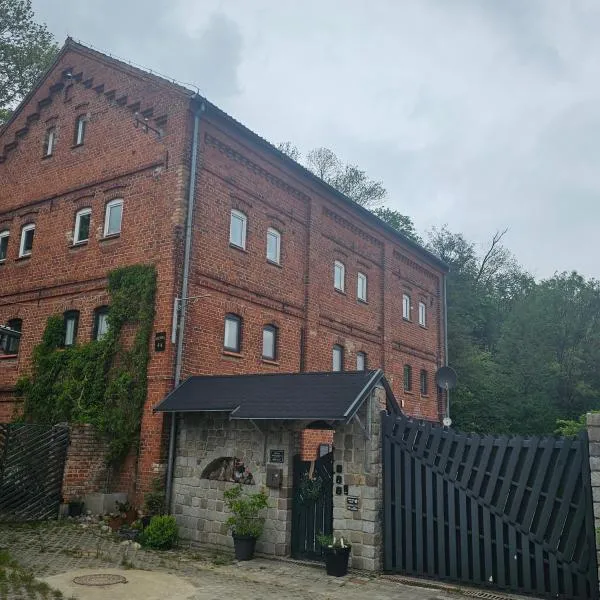Krzywa Apartamenty，位于瓦尔米亚地区利兹巴克的酒店