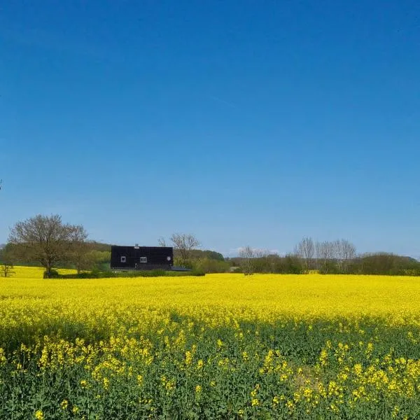 Ferienhaus Loimoos，位于Schnarup-Thumby的酒店