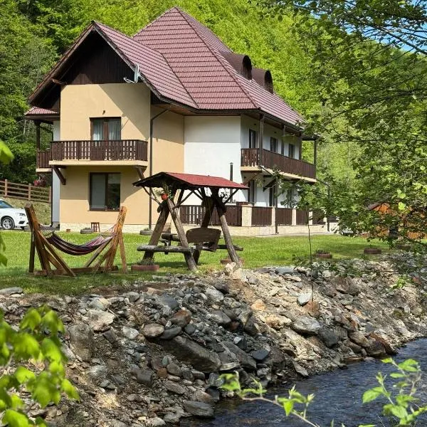 Popasul Moților，位于拉奇特勒的酒店